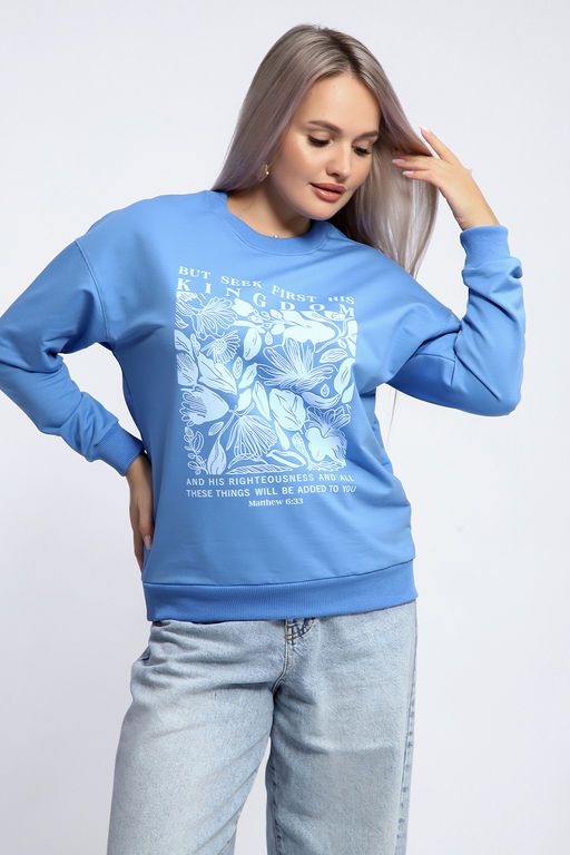 Толстовка 80047