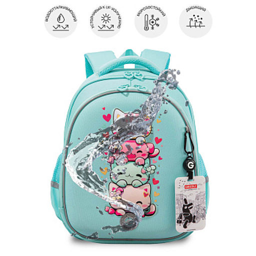 RAz-686-2 Рюкзак школьный с картхолдером на держателе - Grizzly фото 49