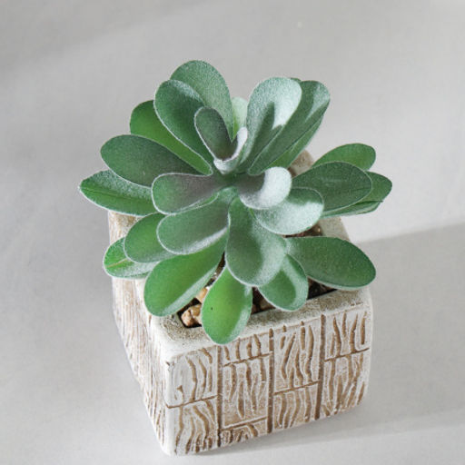 Цветочная композиция Кактус / WER-15 /уп 12/288/ микс - Галеонтрейд фото 17