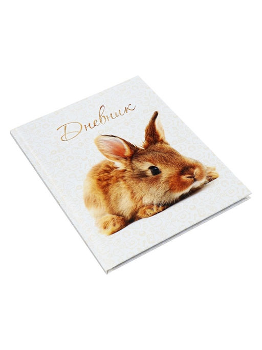 Цена за 2 шт. Дневник школьный для 1-11 классов, «Заяц», твёрдая обложка 7БЦ, глянцевая ламинация, 40 листов