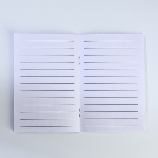 Подарочный набор, блокнот - раскраска, мелки 4 шт. Волшебный единорог