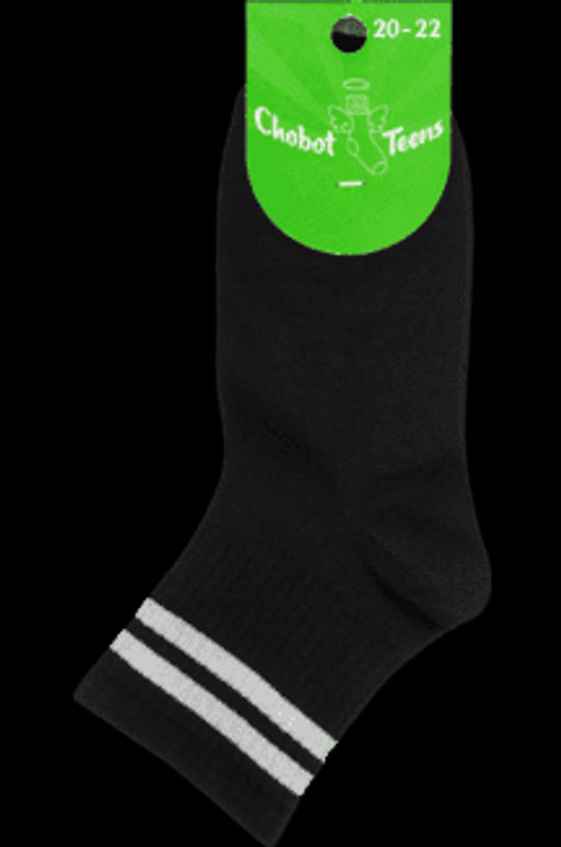 Цена за 2 пары. Носки классические CHOBOT Носки детские 30-102 - Conte elegant фото 2