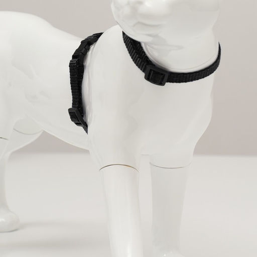 Комплект для кошек, ширина 1 см, ОШ 16,5-27 см, ОГ 21-35 см, поводок 120 см, чёрный - Пижон фото 2