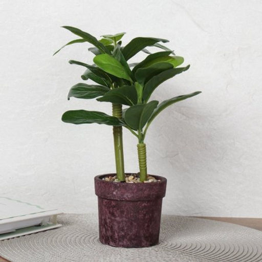 Цветочная композиция Зелень 26 см / 9090-14 /уп 12/72/ - Галеонтрейд фото 6