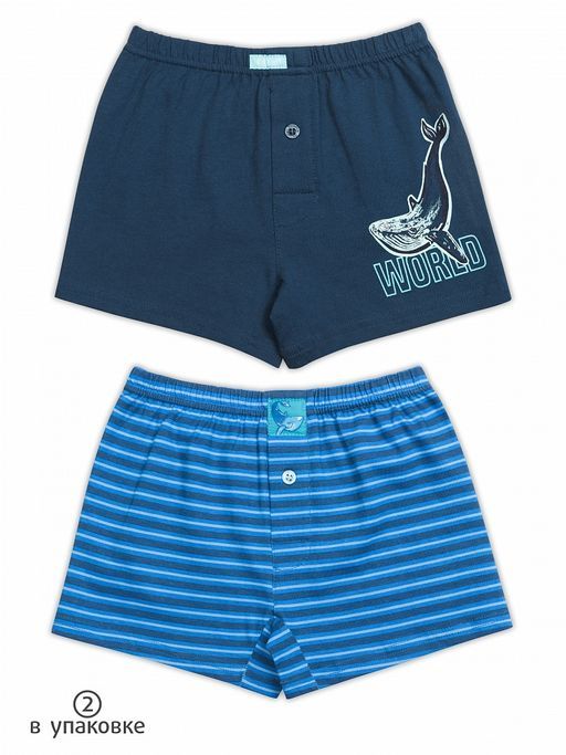 BUB3223(2шт. в упаковке) трусы для мальчиков