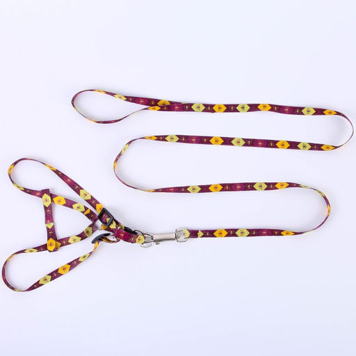 Комплект Пчёлы, шлейка 24-36 см, поводок 120х1 см - Пушистое счастье фото 3