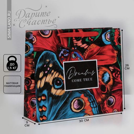 Пакет подарочный ламинированный, упаковка, Dreams come true, M 26 х 30 х 9 см