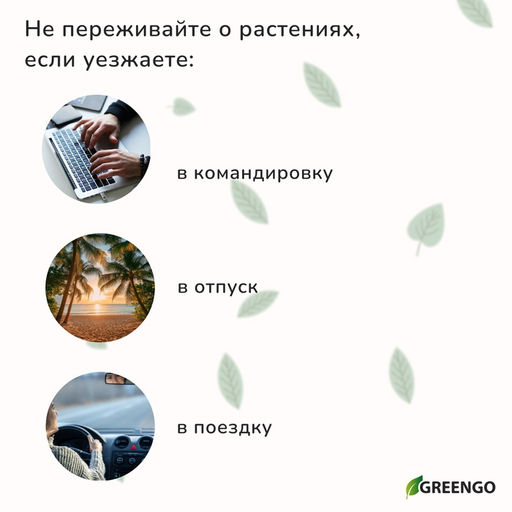 Цена за 2 шт. Автополив для комнатных растений, h=28 см, 380 мл, пластик, набор 2 шт., зелёный, Greengo  фото 5