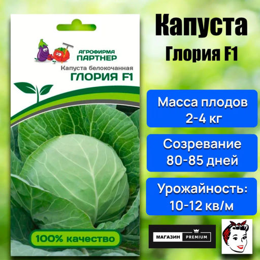 Капуста белокочанная среднеспелая Глория - Партнер фото 2