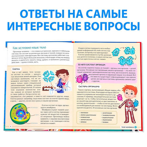 Энциклопедия в твёрдом переплёте Тело человека, 48 стр. - Буква-ленд фото 4