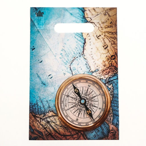 Цена за 100 шт. Пакет «Компас», полиэтиленовый с вырубной ручкой, 20×30 см, 30 мкм