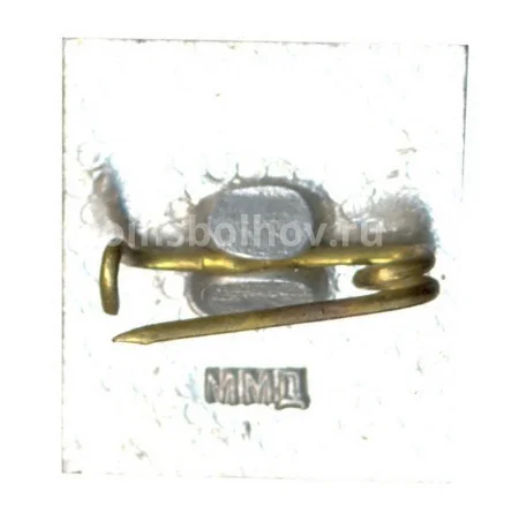 Значок ВНИИ PM