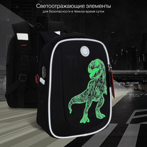 RAf-493-2 Рюкзак школьный - Grizzly фото 34