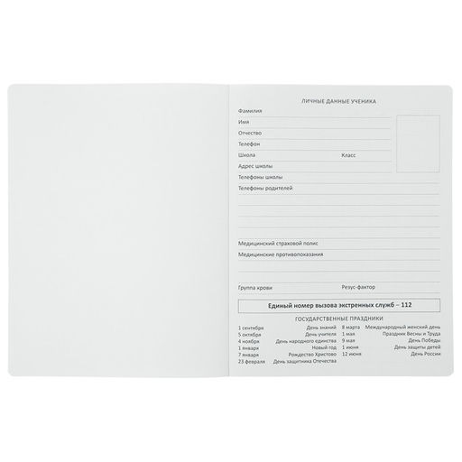 Дневник школьный для 1-11 классов Oxford, твёрдая обложка, искусственная кожа, термотиснение, ляссе, 48 листов