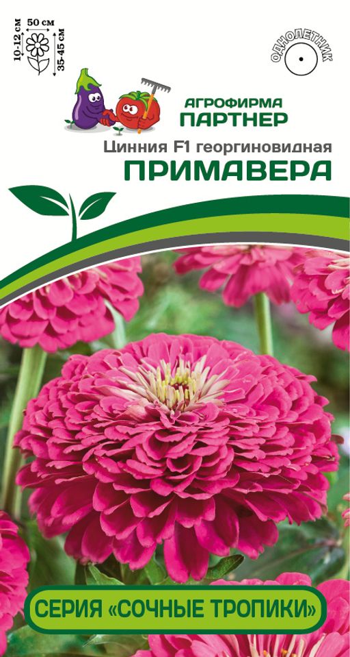 Цинния георгиновидная Сочные тропики Примавера