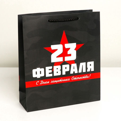 Пакет подарочный ламинированный, упаковка, «С 23 февраля», M 26×30×9 см