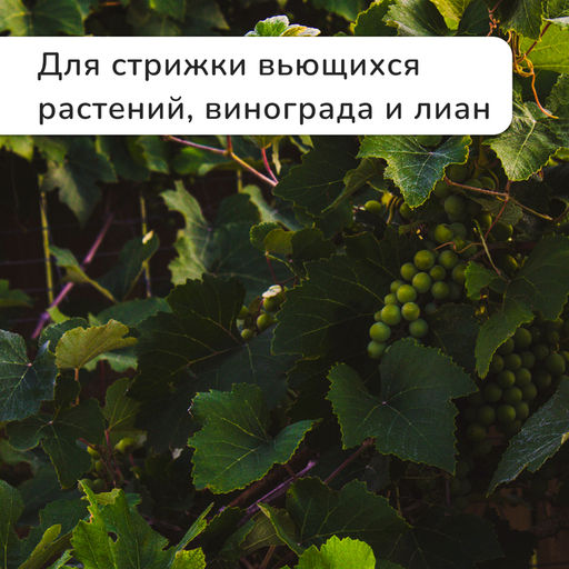 Кусторез, 19 (48 см), с деревянными ручками, Greengo  фото 7