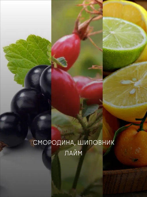 Кофе Кения Маримира фильтр / молотый - Калипсо фото 4