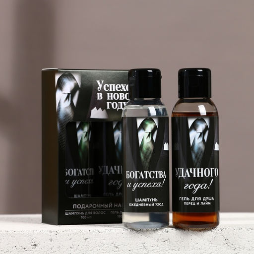 Подарочный набор новогодний мужской «Успехов в году»: гель для душа и шампунь для волос, 2×100 мл, Чистое счастье
