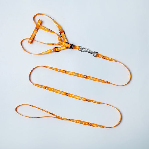 Комплект Любимчик, шлейка 24-34 см, поводок 120х1 см - Пушистое счастье фото 2