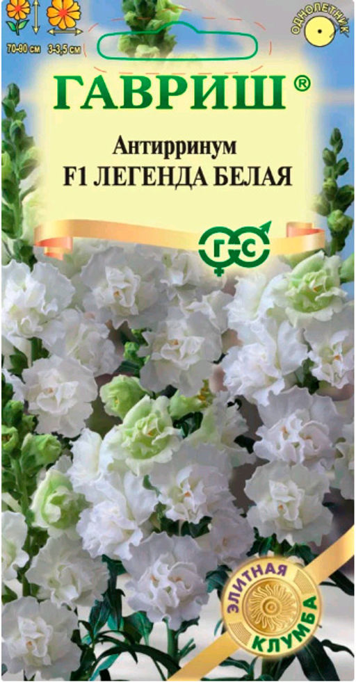 Антирринум (львиный зев) Легенда белая F1 5шт. (Гавриш)