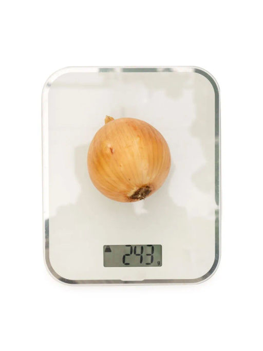 Лук репчатый Универсо - Партнер фото 6