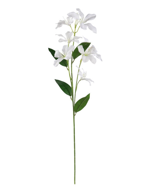Цветы искусственные «Баухиния пёстрая», d=13 см, h=71 см, белые