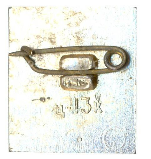 Значок Мацеста