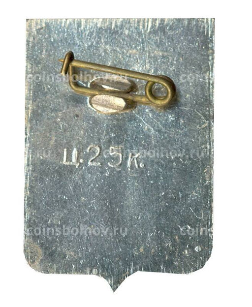 Значок Боровичи