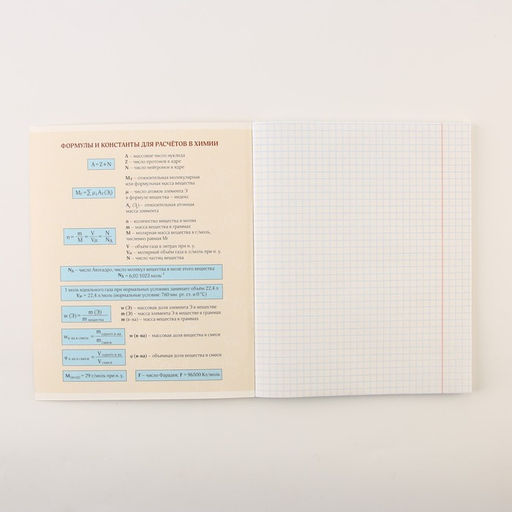 Тетради предметные, 48 л., А5, набор из 3 шт. КОТэ - Artfox study фото 6