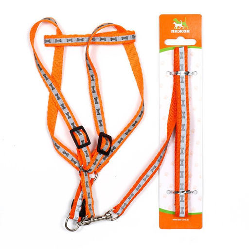 Комплект светоотражающий Косточки, ошейник 120 х 1 см, ОШ 24-40 см, ОГ 24-40 см оранжевый - Пижон фото 8