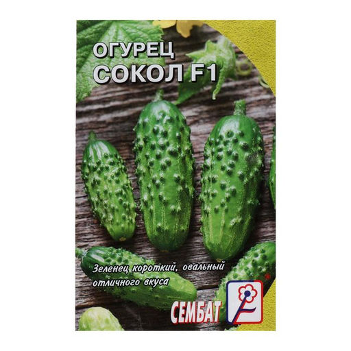 Цена за 5 шт. Семена Огурец "Сокол", F1,  0,2 г