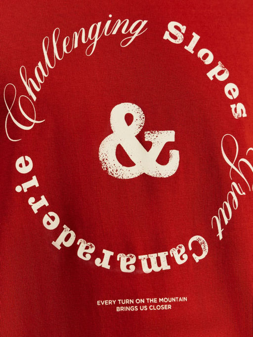 Футболка relax fit с принтом на груди / Zarina