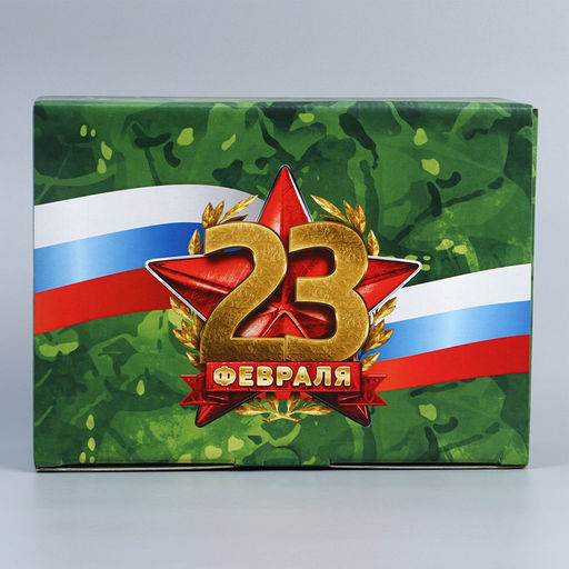 Цена за 2 шт. Коробка подарочная сборная, упаковка, «23 февраля», 26×19×10 см