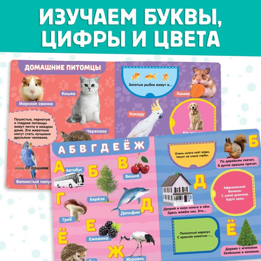 Цена за 6 шт. Книжки картонные с 3 окошками набор 6 шт. по 10 стр.