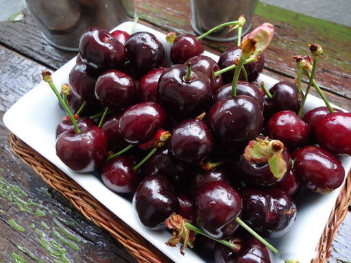 Черешня Дайбера - Долина роз фото 2