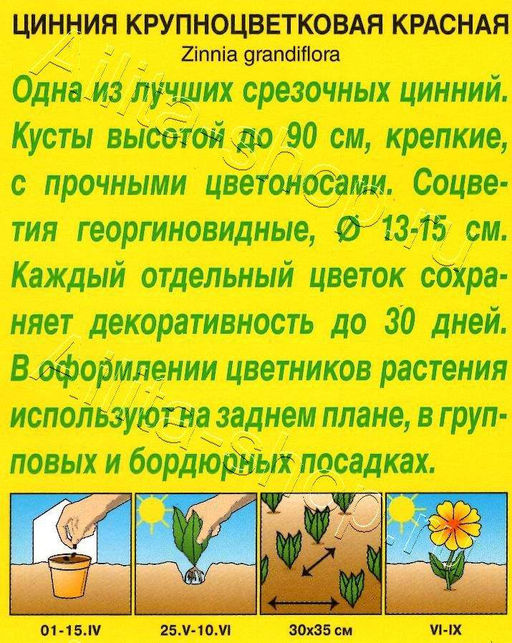 Цинния Крупноцветковая красная 0,3г (Аэлита)