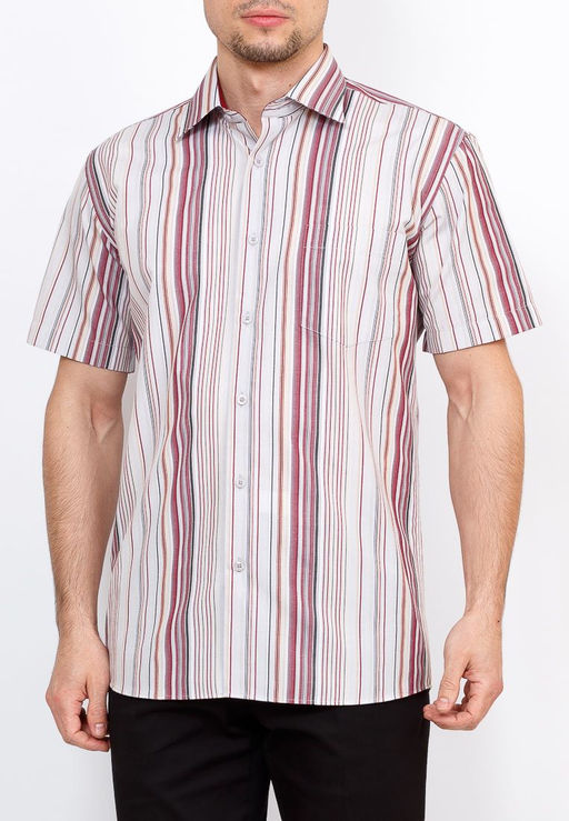 Сорочка мужская короткий рукав GREG Gb361/309/61/Z/1  фото 7