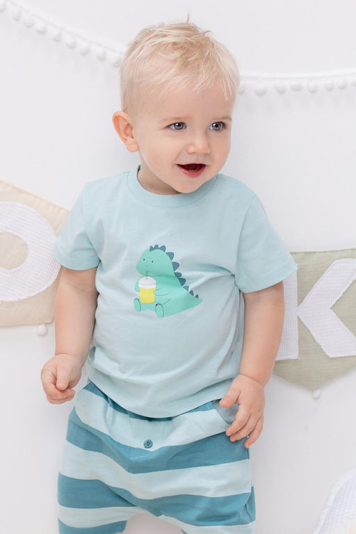 КР 302053/морозный шалфей фуфайка (футболка) д/мал яс