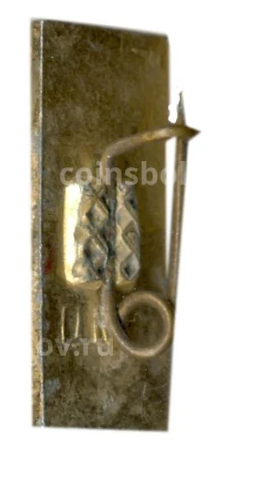 Значок Карпаты