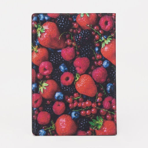 Обложка для паспорта, цвет красный/синий - Simaland фото 2