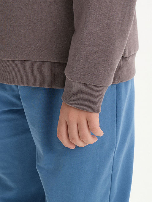 BFNK3387 Толстовка для мальчиков