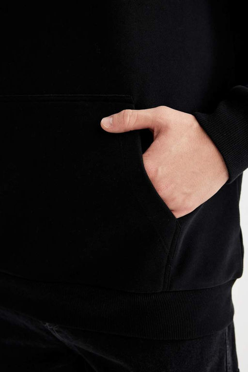 Базовая толстовка Comfort Fit с капюшоном - Defacto фото 9