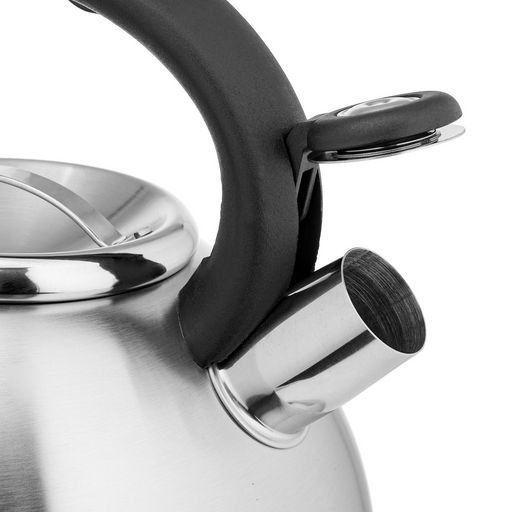 Чайник LARA 4,5 л, матовая полировка, автоподъем крышки, капсулир.индукционное дно (LR00-59)  фото 4