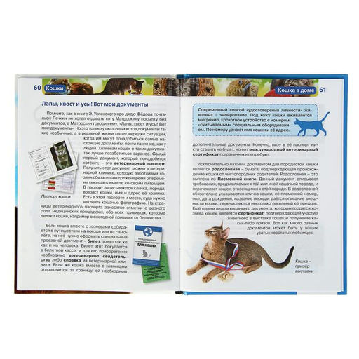 Цена за 2 шт. Детская энциклопедия «Кошки»