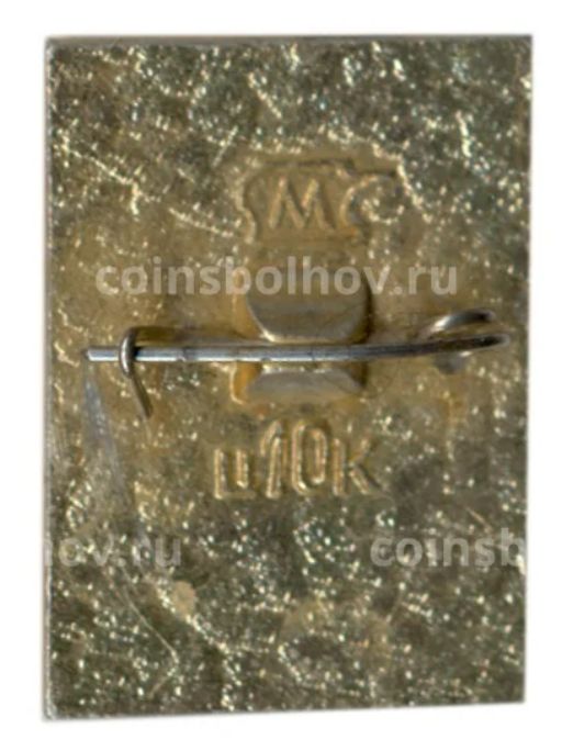 Значок Зеленоградск