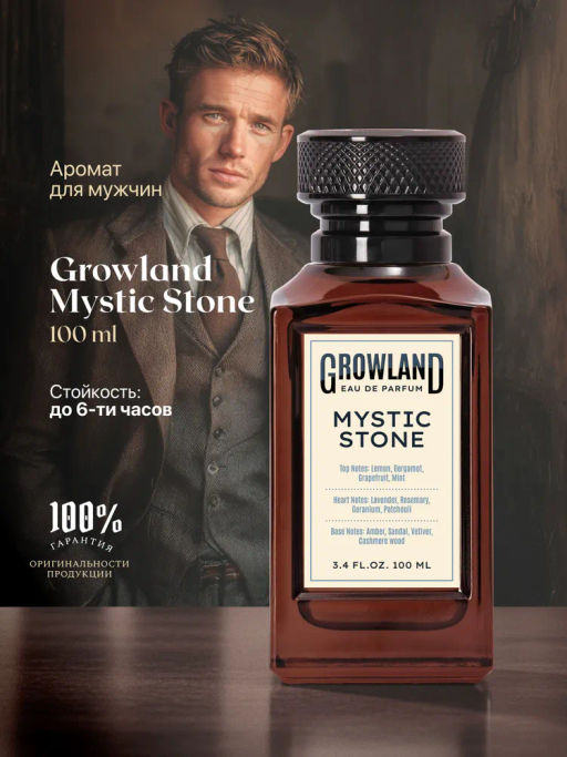Dilis Парфюмерная вода для мужчин GROWLAND Mystic Stone 100 мл