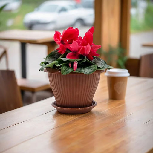 Горшок для цветов пластмассовый "Гамма-плюс" 2,9л, д22см, h15,5см, терракот (Россия)