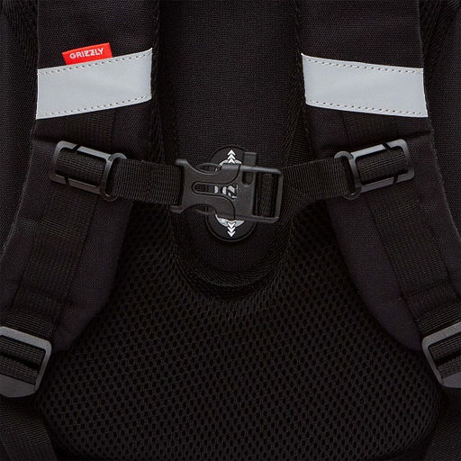 RAz-587-16 Рюкзак школьный - Grizzly фото 24