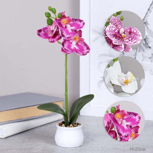 Цветочная композиция Орхидея 22 см / LM-796 /уп 12/144/